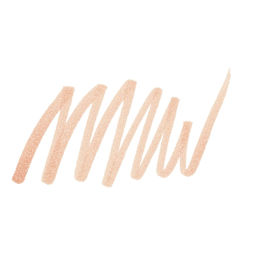 Faber-Castell Pitt Artist Pen - Cinnamon, Brush Nib swatch