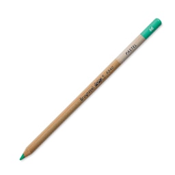 Bruynzeel Design Pastel Pencil - Green 66