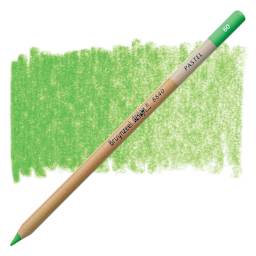 Bruynzeel Design Pastel Pencil - Light Green 60 pastel pencil and swatch