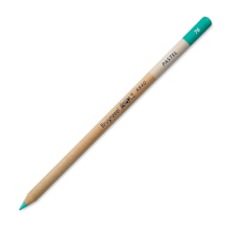Bruynzeel Design Pastel Pencil - Emerald Green 76