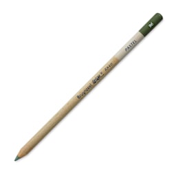 Bruynzeel Design Pastel Pencil - Sap Green 96