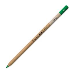 Bruynzeel Design Pastel Pencil - Apple Green 65
