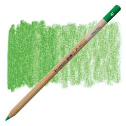 Bruynzeel Design Pastel Pencil - Apple Green 65 pastel pencil and swatch