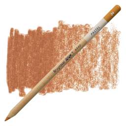Bruynzeel Design Pastel Pencil - Burnt Sienna 24 pastel pencil and swatch