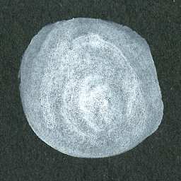 Higgins Dye-Based Drawing Ink - 16 oz, Super White, Waterproof, Pigment-Based Ink, swatch on black paper