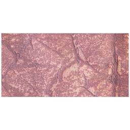 Ranger Tim Holtz Distress Ink Pad - Victorian Velvet swatch