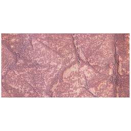 Ranger Tim Holtz Distress Ink Pad Re-Inker - Victorian Velvet swatch