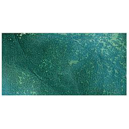 Ranger Tim Holtz Distress Ink Pad Re-Inker - Pine Needles swatch