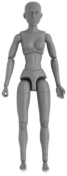 Anatomical Model, Gray