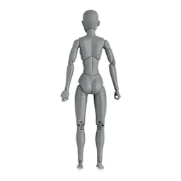 Anatomical Model, Gray