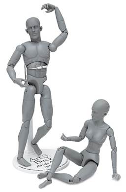 Art S. Buck Anatomical Models