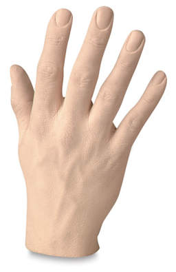 Male Human Hands - Spread Right hand shown upright
