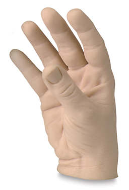 Male Human Hands - Relaxed Right hand shown upright