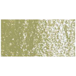 Caran d’Ache Neoart 6901 Pastel - Brown Olive 50%, swatch