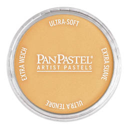 PanPastel Artists’ Painting Pastel - Pearlescent Orange, 952.5