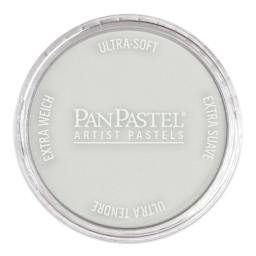 PanPastel Artists’ Painting Pastel - Neutral Gray Tint 8, 820.8