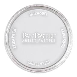 PanPastel Artists’ Painting Pastel - Paynes Gray Tint 8, 840.8
