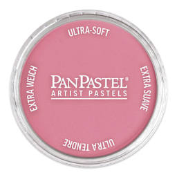 PanPastel Artist Painting Pastel - Permanent Red Light, 340.7