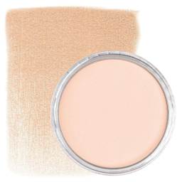 PanPastel Artists’ Painting Pastel - Red Iron Oxide Tint, 380.8, pan and swatch