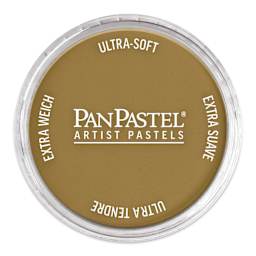 PanPastel Artists’ Painting Pastel - Yellow Oxide Shade, 270.3