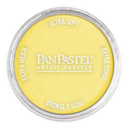 PanPastel Artist Painting Pastel - Primary Yellow, 230.5