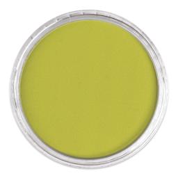 PanPastel Artists’ Painting Pastel - Hansa Yellow Shade, 220.3, lid off