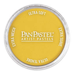 PanPastel Artists’ Painting Pastel - Diarylide Yellow, 250.5