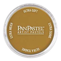 PanPastel Artists’ Painting Pastel - Diarylide Yellow Shade, 250.3