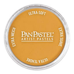 PanPastel Artist Painting Pastel - Orange Medium, 280.6