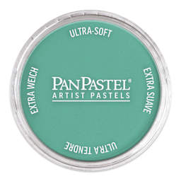 PanPastel Artist Painting Pastel - Teal, 570.5