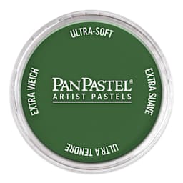 PanPastel Artist Painting Pastel - Blue Green Shade, 670.3, pan with lid on