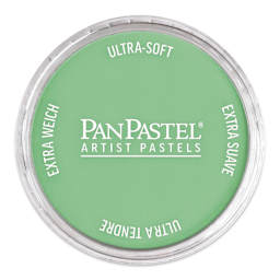 PanPastel Artist Painting Pastel - Blue Green Light, 670.7, pan with lid on