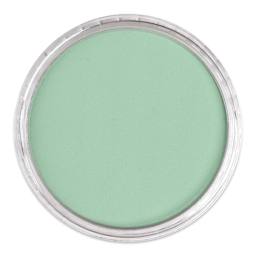 PanPastel Artist Painting Pastel - Permanent Green Light, 640.7, lid off
