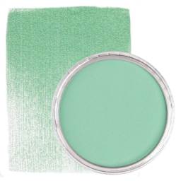 PanPastel Artist Painting Pastel - Permanent Green Light, 640.7, pan and swatch