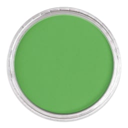 PanPastel Artists’ Painting Pastel - Permanent Green, 640.5, lid off