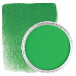 PanPastel Artists’ Painting Pastel - Permanent Green, 640.5, pan and swatch