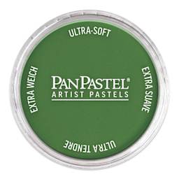 PanPastel Artists’ Painting Pastel - Permanent Green Shade, 640.3
