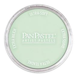 PanPastel Artists’ Painting Pastel - Permanent Green Tint, 640.8