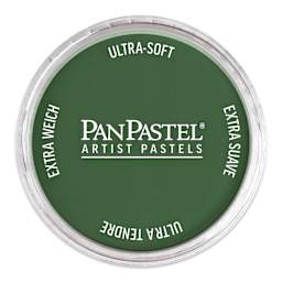 PanPastel Artists’ Painting Pastel - Permanent Green Extra Dark, 640.1
