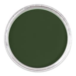 PanPastel Artists’ Painting Pastel - Permanent Green Extra Dark, 640.1, lid off