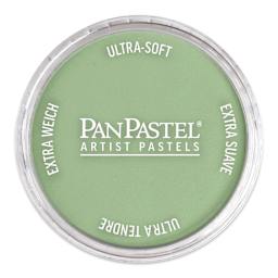 PanPastel Artist Painting Pastel - Chromium Oxide Green Light, 660.7, pan with lid on