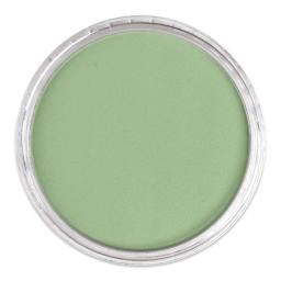 PanPastel Artist Painting Pastel - Chromium Oxide Green Light, 660.7, lid off