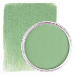 PanPastel Artist Painting Pastel - Chromium Oxide Green Light, 660.7, swatch and pan