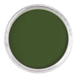 PanPastel Artists’ Painting Pastel - Chromium Oxide Green, 660.5, lid off