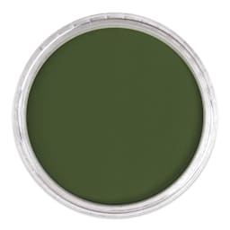 PanPastel Artists’ Painting Pastel - Chromium Oxide Green Shade, 660.3, lid off