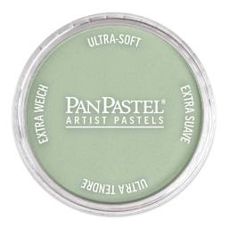 PanPastel Artists’ Painting Pastel - Chromium Oxide Green Tint, 680.8