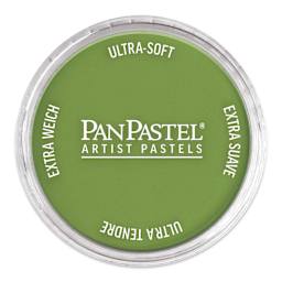 PanPastel Artist Painting Pastel - Yellow Green Shade, 690.3