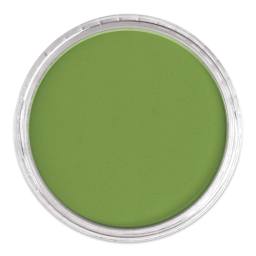 PanPastel Artist Painting Pastel - Yellow Green Shade, 690.3, lid off