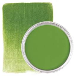 PanPastel Artist Painting Pastel - Yellow Green Shade, 690.3, pan and swatch