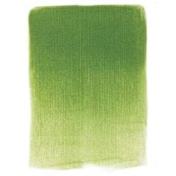 PanPastel Artist Painting Pastel - Yellow Green Shade, 690.3, swatch